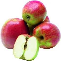 Jabłka Szampion Układane Klasa I Polska 6Kg