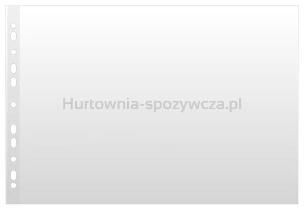 Koszulka Na Dokumenty Donau, Pp, A3 Poziome, Groszkowe, 120Mikr.