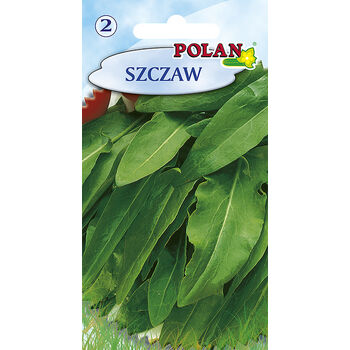 Szczaw Belwilski Polan