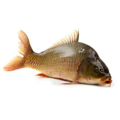 Karp Patroszony Około  (1-2Kg)