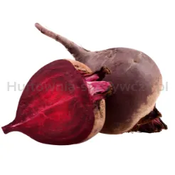 Buraki kg