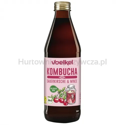 Kombucha wiśnia-mięta BIO 330 ml