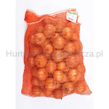 Cebula Polska 5Kg