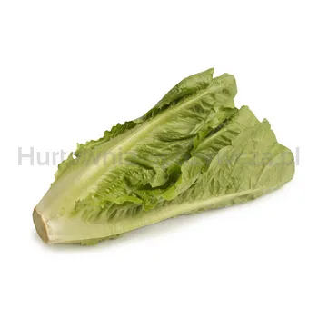 Sałata Rzymska Kl.I Hisz 1Szt