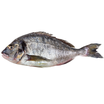 Dorada Patroszona 250-330G