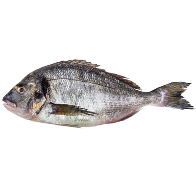 Dorada Patroszona (250-330G)