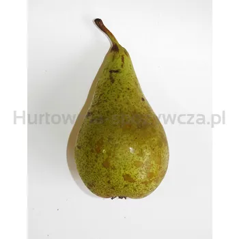 Gruszka Faworytka LUZ