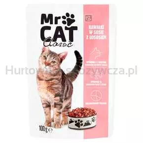 Dobry Wybór Karma Kot MR CAT Łosoś 100 g saszetki