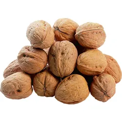 Orzechy Włoskie W Łupinie Polska Luz