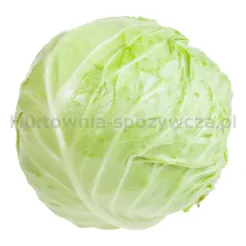 Kapusta Biała kg