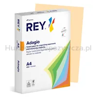 Papier ksero REY ADAGIO, A4, 80gsm, 38 piaskowy pastel *RYADA080X430 R200 - 3