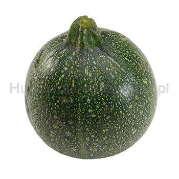 Cukinia Okrągła Hiszpania kg