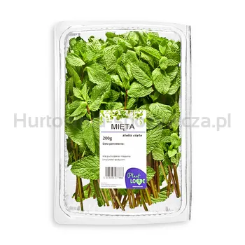 Mięta Cięta 200G Plove