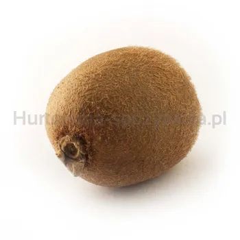 Kiwi Klasa I Włochy 10Kg