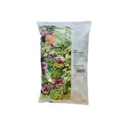 Sałatka Salsa Mix Z Radicchio 500G Eisberg