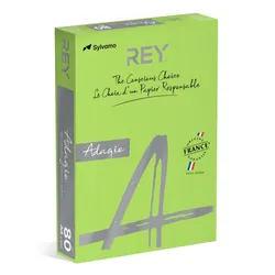 Rey Adagio Papier Ksero A4, 80Gsm, 16 Zielony Intense *Ryada080X402 R100, 500 Ark. 