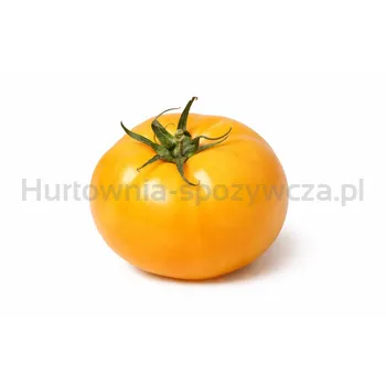 Pomidor Okrągły Żółty Klasa I Holandia kg