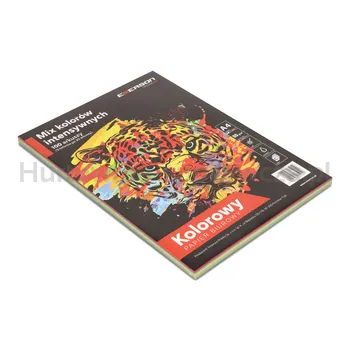 Papier Ksero A4 mix kolorów intensywnych  XEM1001N, opak.=100arkuszy (5kolorów X 20arkuszy)