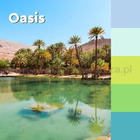 Karteczki samoprzylepne Post-it® Super Sticky, OASIS, 76x127mm, 5x90 kart. - 4