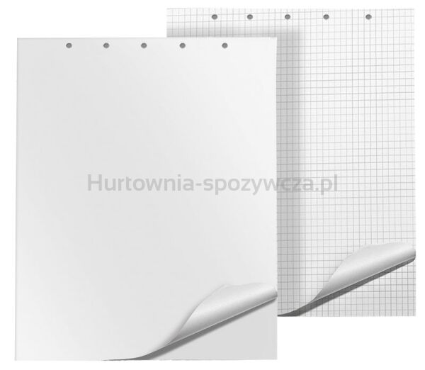 Q-Connect Blok do flipchartów gładki, 65x100cm, 50 kart., biała 