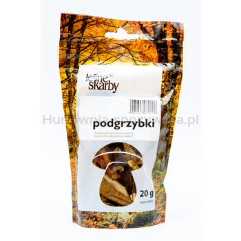 Kasol Podgrzybki brunatne suszone krojone 20g 