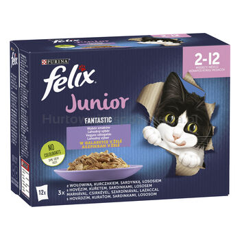 Felix Fantastic Junior Wołowina, Kurczak, Sardynka, Łosoś 12X85G = 1,02 Kg