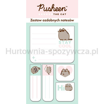 Zestaw notesów ozdobnych Pusheen