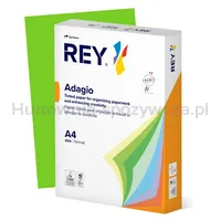 Papier ksero REY ADAGIO, A4, 80gsm, 52 ciemny zielony intense *RYADA080X433 R200 - 2
