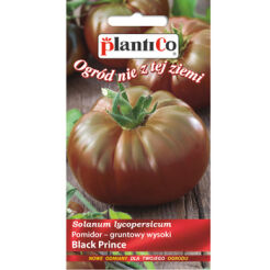 Pomidor Black Prince  PlantiCo