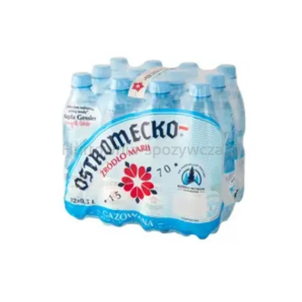 Woda Ostromecko Gazowana Niskosodowa Butelka 0,5 L Pet