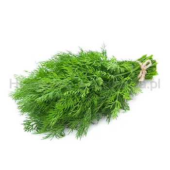 Koperek Pęczek Włochy 30G