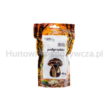 Kasol Podgrzybki Brunatne Suszone Krojone 40G (Xerocomus Badius) Leśne Skarby