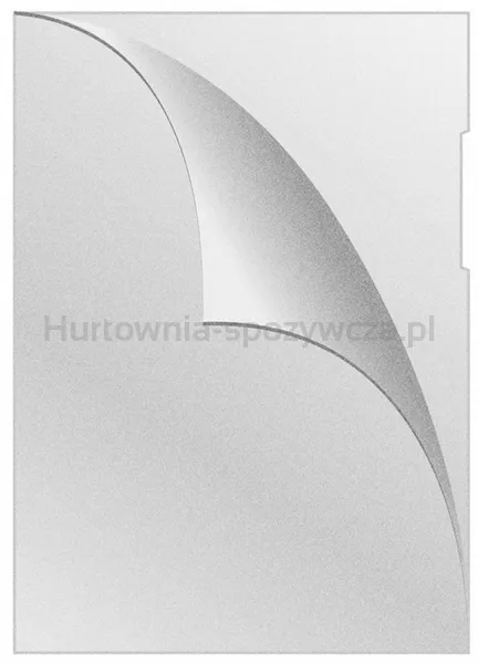 Q-Connect Obwoluta typu L, poszerzana, PP, A4, groszkowa, 100mikr., 50szt., transparentna 