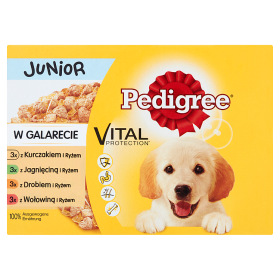 Pedigree Junior 12X100G