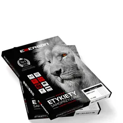 Etykieta A4, 66X33,8Mm 100 Arkuszy