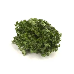 Sałata Frisee Klasa I Hiszpania 1Szt