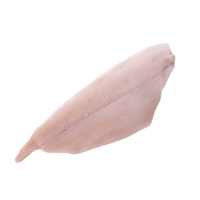 Halibut Filet Bez Skóry (500-700G)