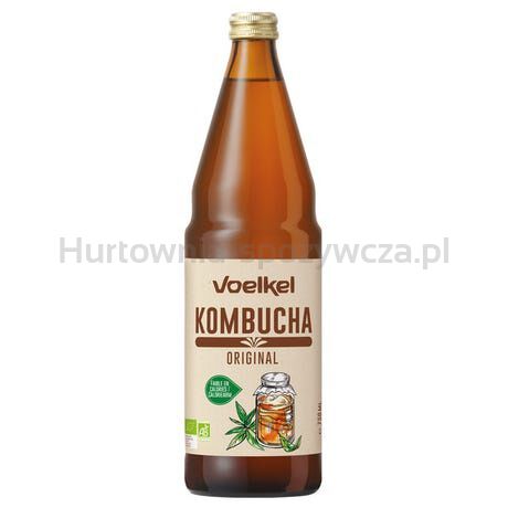 Kombucha BIO 750 ml