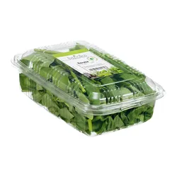 Bazylia Cięta Kenia 100G Baziółka