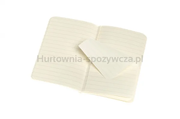 Zestaw 2 zeszytów MOLESKINE Volant, XS, 6,5x10,5cm, w linie, 56 stron, coral orange/aquamarine