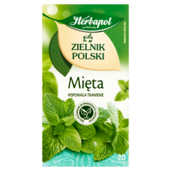 *Zielnik Polski Herbatka Ziołowa Mięta 20 Torebek