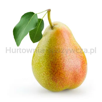 Gruszka Lukasówka Klasa I Polska 6Kg