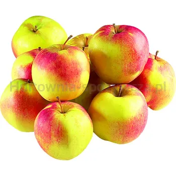 Jabłka Ligol Klasa I Polska (cena za 3Kg)