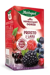 Herbapol Herbata Herbaciany Ogród, 20 torebek, prosto z lasu