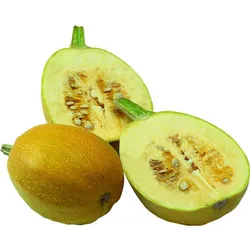 Dynia Makaronowa Polska 1Szt