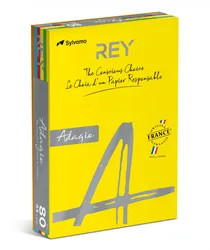 Rey Adagio Papier Ksero A4, 80Gsm, Mix Kolorów Intens, *Ryada080X906 R200, 5X100 Ark. 