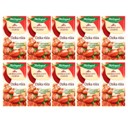Herbapol Herbaciany Ogród herbatka owocowa dzika róża 20Torebek/70g