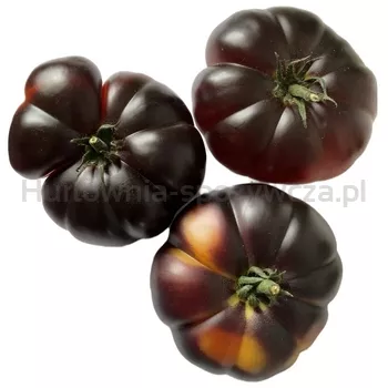 Pomidor Fioletowy Rosamunda  Klasa I 6KG