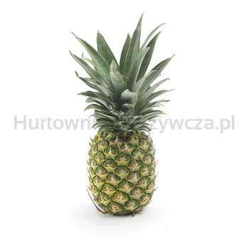 Ananas Chiquita Kostaryka szt.