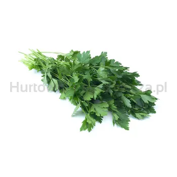 Pietruszka Nać Pęczek Hisz300G